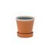 g Rossi - pot абрикос 30760