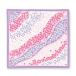 o.. san большой furoshiki 70cm газонная трава Sakura 06563