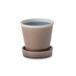 PLUS the greeng Rossi - pot earth 30802