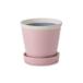 PLUS the greeng Rossi - pot Sakura 30803