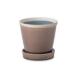 PLUS the greeng Rossi - pot earth 30806