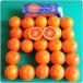 [25 штук. темно-красный .b Lad orange ..... длина!!]oruto гель фирма b Lad orange сок 1 литров ввод 