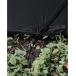 �����R muraco NORM 3P BLACK 4580516162073 �֘A�摜5