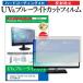 Lenovo ThinkVision E20-30 62F7KAR4JP (19.5) ݸ ե С  ֥롼饤ȥå ȿɻ ɻ վݸե ߴ