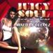 DJ COUZ / Juicy Soul Vol.2 [CD]