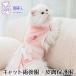 [ re-arrival that day shipping ] cat . after clothes skin protection clothes cat for hand . after clothes cat nursing clothes cat clothes 