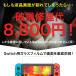 Nintendo Switch lite Switch2 �t�B���� �����K���X �C�V���X�C�b�` 2 �u���[���C�g�J�b�g �t�� �ی� �֘A�摜3