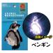 JP�F��i �A�j�}�����˃L�[�z���_�[ ���킢������ ���˔� ���t���N�^�[ �����h�Z�� �o�b�O ��ʈ��S���P�x���ˍ� �h�� �h�� �������� �c�t�� ���w�� �֘A�摜5