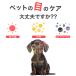 ���^���p�S�[�O�� �b��t�̎��_��������ڂ����f�U�C�� �l�C�����L���O���� �h�b�O�S�[�O�� �N���A�����Y �~���[�����Y ���p�T���O���X �y�b�g �������� �֘A�摜3