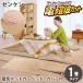 �[���P�� �z�b�g�J�[�y�b�g 1���p �J�o�[�t ZC-10SM (��������) �d�C�J�[�y�b�g �d���g�J�b�g �d���g�΍� 1�� 2�� 3�� �ȃG�l �g�[��� �����g�[ �_�j�΍�