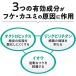 ���C�I�� �o���K�X��p�V�����v�[�� �����X �Z�b�g �e1�{(�e200ml) �I���W�i���|�P�b�g�e�B�b�V���t�� �֘A�摜3