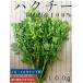  coriander coriander Okayama coriander special cultivation agriculture production thing coriander have machine JAS recognition coriander west Japan Okayama prefecture production . vegetable 