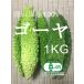  bitter gourd momordica charantia tsuru Ray si bitter gourd - special cultivation agriculture production thing have machine JAS recognition production direct west Japan Okayama prefecture production . vegetable 