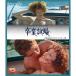 . индустрия экзамен нет модифицировано HDli тормозные колодки версия Blue-ray новый товар 