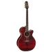 (��������)   Takamine (�^�J�~�l)  DMP551C WR �A�R�[�X�e�B�b�N�M�^�[(�G���A�R) (DMP-551C)