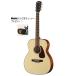 Morris Morris PERFORMERS EDITION F-1 NAT( натуральный ) акустическая гитара зажим тюнер имеется бесплатная доставка 