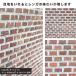 �����K �Ǘp �~�j�����K �y�� �u���b�N �~�j�`���A �W�I���} ���� ���� �J�t�F ���� �C���e���A DIY �Z���R�A (�Z���~�j�����K�V�[�g 20�~10mm �V�[�g�̔�) �֘A�摜3
