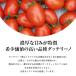 in Campo �_�b�e���[�m �g�}�g�� 400g �~12�ʁi1�P�[�X�j �m�퉷/�①�n�y3�`4�c�Ɠ��ȓ��ɔ����z �֘A�摜3