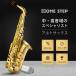�y500�~�N�[�|���z�z���z�A���g�T�b�N�X ���S�҃Z�b�g E Saxophone �S�[���h���b�J�[ �P�[�X�t�� �������� ���S�ғ���Z�b�g ���{��������t �֘A�摜2