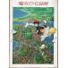  фильм проспект | Majo no Takkyubin ( Miyazaki . постановка ) * обратная сторона обложка . заметный чай цвет . пятна несколько 