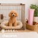 �Y�� �����p1�� �s���N ���� ���� �����ؒY �~�J�΍� ���C�΍� �J��Ԃ��g�p ���L �h�J�r �h�� �~�J�΍� �����@ ���K�F��̔��㗝�X�`���R���� �֘A�摜4