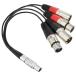 ATOMOS XLR Breakout Cable ATOMCAB016