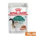  Royal kana n кошка in стойка nktib7+ 85g×48 пакет 9003579310168. один человек sama 1 пункт ограничение 