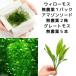 ( водоросли ) Willow Moss ( подводный лист )( нет пестициды )(1 упаковка )+ Amazon so-do( подводный лист )( нет пестициды )(2 АО )+ Great Moss (5шт.@)