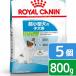  Royal kana n extra маленький papi-. собака для 800g×5 пакет 3182550794459 Zip есть . один человек sama 2 пункт ограничение 