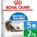  Royal kana n кошка in -дверный длинный (long) волосы - для взрослой кошки 2kg×5 пакет 3182550739382 Zip есть . один человек sama 1 пункт ограничение 