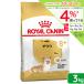  бесплатная доставка Royal kana n чихуахуа средний * высота . собака для 3kg 3182550824477 Zip есть . один человек sama 5 пункт ограничение 