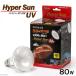 bi burr a hyper sun UV 80W bus King light heat insulation lamp ultra-violet rays light UV light 