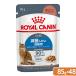  Royal kana n кошка свет вес уход . количество хотеть сделать для взрослой кошки 85g×48 мокрый FHN-WET 9003579308769