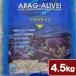 kami is ta Carib si-alaga Live frolida crash coral 4.5kg