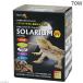  pet pet Zone solalium70W lamp, exchange lamp, socket set reptiles light ultra-violet rays 