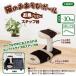  outlet кошка для коготь .. кошка. . игра paul (pole) . рыба Family подножка шт. есть перевод 