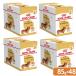  Royal kana n мокрый Dux fndo85g 48 пакет . один человек sama 1 пункт ограничение 
