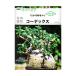NHK хобби. садоводство 12. месяц культивирование navi NEO суккулентное растение ko- Dex 