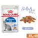  Royal kana n кошка FHN-WET салон . жизнь делать для взрослой кошки Индия a желе 85g×48 пакет салон кошка мокрый . один человек sama 1 пункт ограничение 