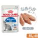  Royal kana n кошка FHN-WET салон . жизнь делать для взрослой кошки Индия Arrow f85g×48 пакет салон кошка мокрый . один человек sama 1 пункт ограничение 
