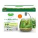 GEX aquarium set MeGreen fresh . water plants attaching gla stay a- set small size aquarium 