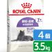  Royal kana n кошка ..*.. средний высота . кошка для FHN стерео ARAI zdo7+ 3.5kg×4 7 лет из 12 лет до Zip есть . один человек sama 1 пункт ограничение 