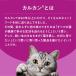 �L���b�g�t�[�h�@�J���J���@�p�E�`�@���L�p�@�܂���@�T��Z�b�g�@�v�U�O�� �֘A�摜1