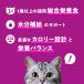 �L���b�g�t�[�h�@�J���J���@�p�E�`�@���L�p�@�܂���@�T��Z�b�g�@�v�U�O�� �֘A�摜2
