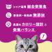�L���b�g�t�[�h�@�J���J���@�p�E�`�@�P�W�΂���́@�V�j�A�L�p�@�U��Z�b�g�@�v�V�Q�� �֘A�摜2