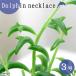 ( суккулентное растение ) Dolphin колье 2.5~3 номер (1 pot )