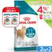  Royal kana n кошка 11 лет и больше. .... сделал высота . кошка для старение стерео ARAI zdo11+ 2kg×2 пакет Zip есть 