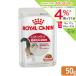  Royal kana n кошка FHN-WET in стойка nktib серый Be для взрослой кошки 50g стандартный товар . один человек sama 5 пункт ограничение 