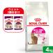 [ мокрый 2 пакет дополнение ] Royal kana n кошка Saber e расческа jento для взрослой кошки 4kg 3182550717144. один человек sama 4 пункт ограничение Zip есть 