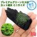 ( водоросли ) наматывать длина premium зеленый Moss есть коряга Mini размер (8cm и меньше )( подводный лист )( нет пестициды )(1 шт )